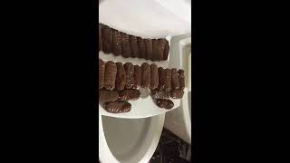 WinZo High Efficiency One Piece Toilet 1.28 GPF (AN5028/WZ5028) screenshot 1