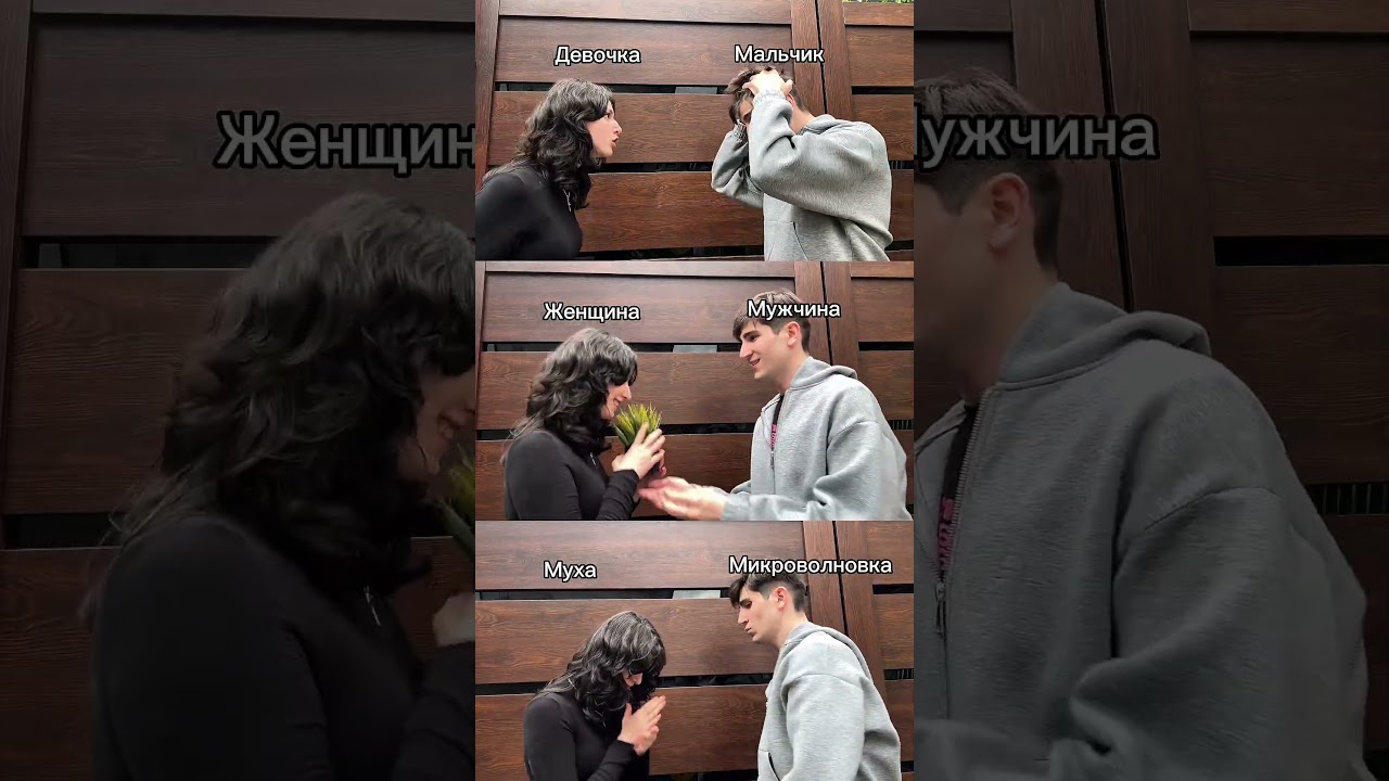 Микроволновка и муха заколлабились