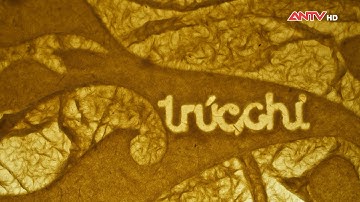 NGHỆ THUẬT TRÚC CHỈ