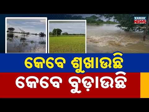 Mahanadi Flood Crisis | Chhattisgarh Water Release Triggers Odisha Flood Fears