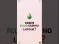 Why Doctors Worry About Green Fluid During Birth ?😳 #shorts