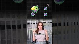 Intensive Autophagy Serum
