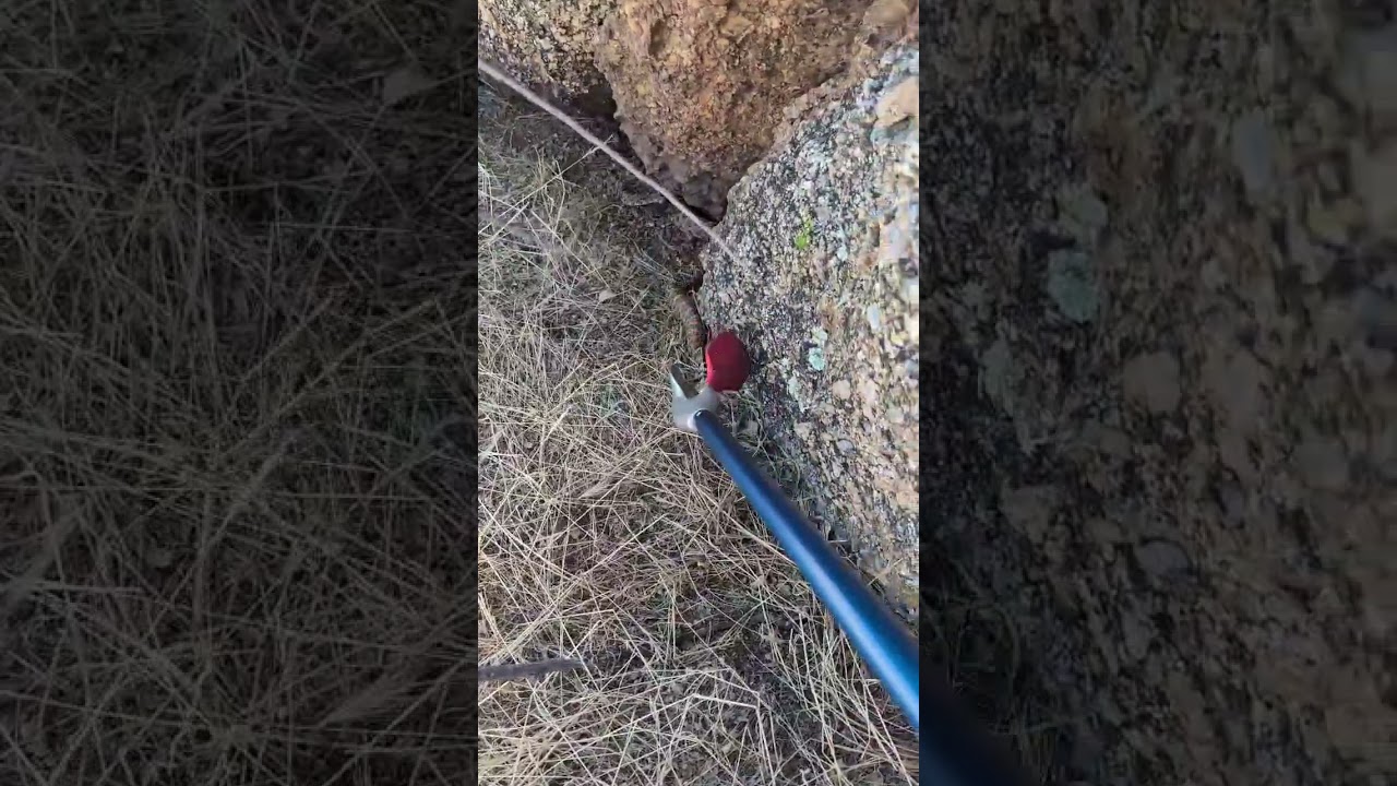 Big Rattlesnake Released