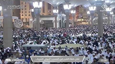 صلاة الفجر 24 ربيع اخر 1446 من المسجد النبوي للشيخ محمد برهجي فواتيح سورة آل عمران