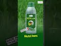 एल निनो म्हणजे काय? | यंदा पाऊस कमी होणार का? @nutrifertagriinputspvtltd7945