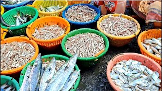 Kasimedu wholesale fish market /Roadside foodz