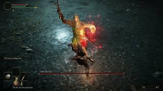 Soldat Godricks - Limgrave - Elden Ring