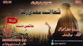 Muhiban e Zahra | Farsi Noha 2022 | Tanha Ast Mehdi e Zahra | تنہا است مہدئ زھرا س