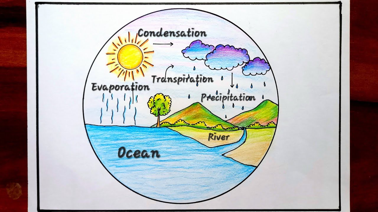 Examples of children's drawings of the 'Water Cycle' | Download Scientific  Diagram