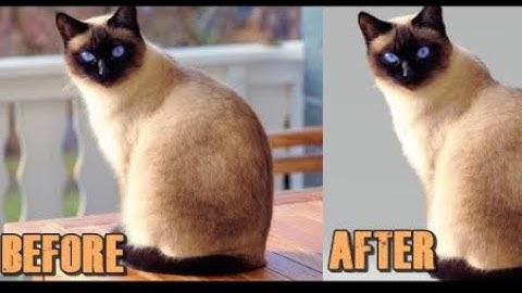 How to Remove Background from an image using paint 3D