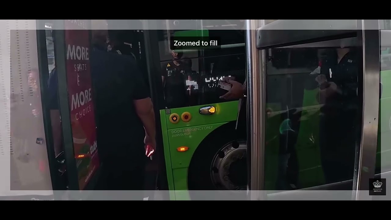 Auditing Britain face reveal 