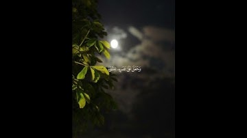القرآن الكريم #المصحف #راحة_نفسية #shortvideo #توبة #الرحمن #اكسبلور