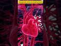 transparent view of a beating heart #3d #animation #short