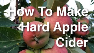 How to Brew Hard Apple Cider from Start to Finish Using Apples