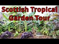 End of season garden tour