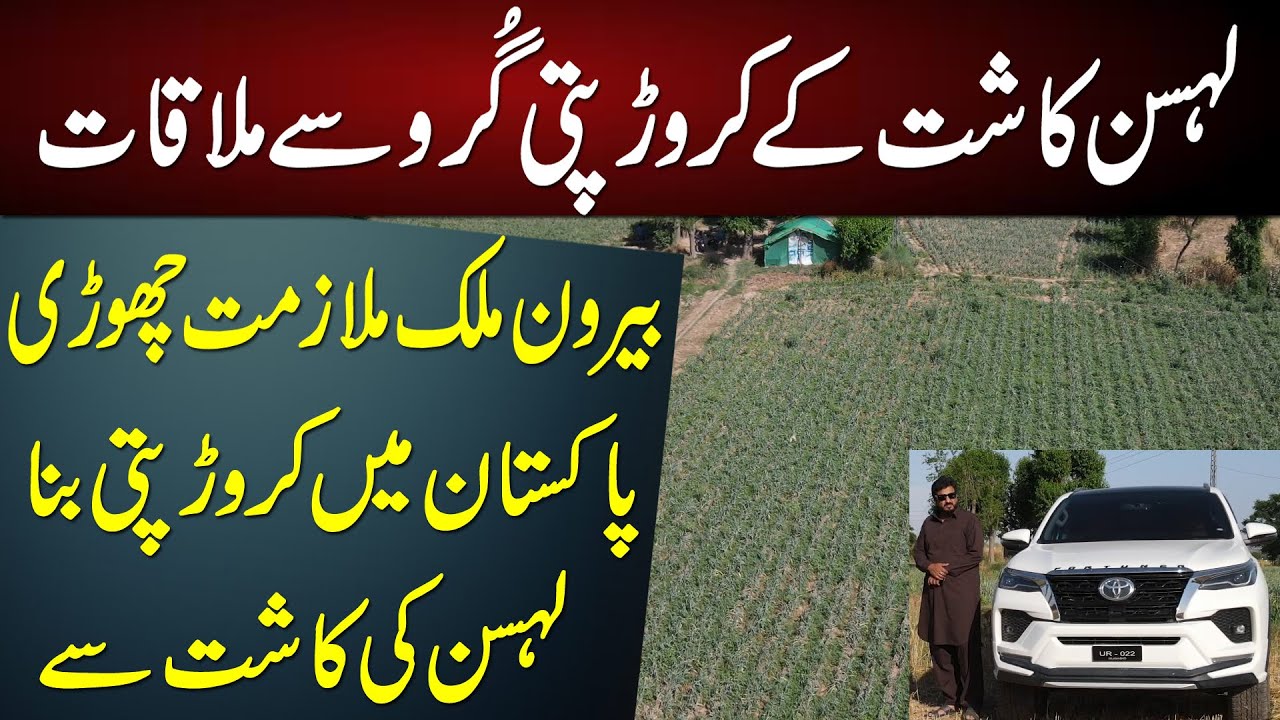 amazing meeting with garlic grower | lehsan ki kasht