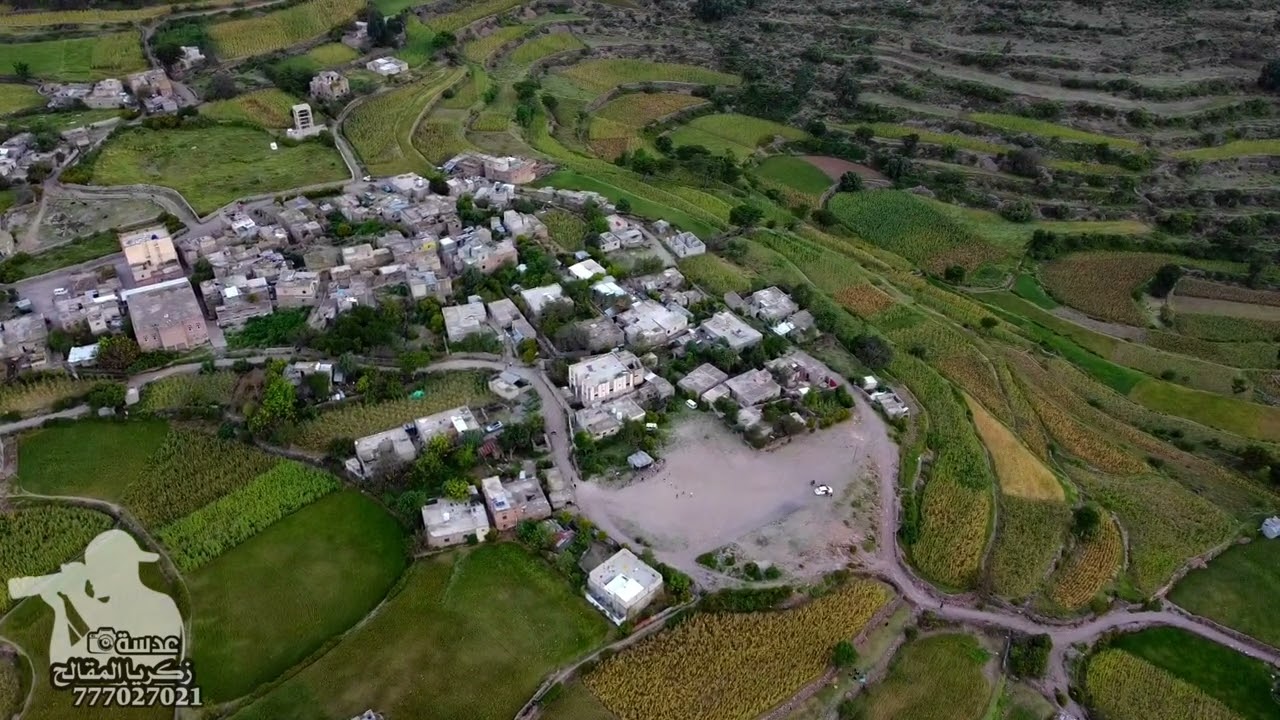 قرية الريامي تكتسي لباسها الذهبي