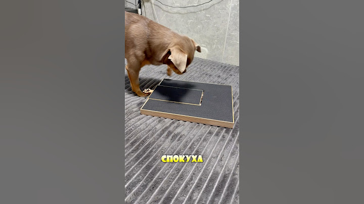 🐶 Да, вы не ослышались — когтеточка для собак! Артикул WB: 235407773 Ozon: 1594456067