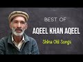 Best of aqeel khan aqeel shina songs 2020