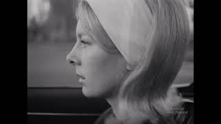 DRIVE WITH PRUDENCE  - SLOW DOWN AT INTERSECTIONS (1969) Net Worth