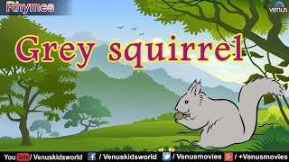 HUMPTY DUMPTY RHYME ~ Gray squirrel | Popular Rhyme | English Nursery Rhymes For Kids