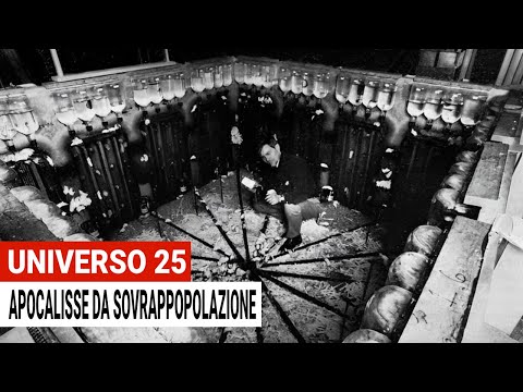 Video: Perché gli organismi si sovrappopolano?