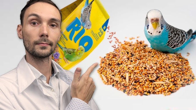 Www youtube com cekc kino ru порно видео көру Үлкен сиськи бар секс порно видео