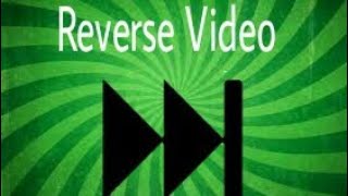 Awesome Reverse Video! | The Reverser screenshot 2