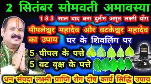2 सितंबर सोमवती अमावस्या का नया उपाय धन की कमी होगी दूर मनोकामना पूरी #सोमवती #अमावस्या