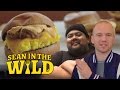 Breakfast Sandwich Taste-Test with Eggslut's Alvin Cailan | Sean in the Wild