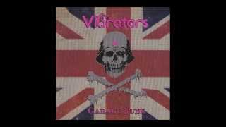 Video thumbnail of "The Vibrators - Love's Made a Fool of You"