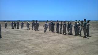 Marines doing dizzy izzy