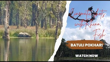CINEMATIC SHOTS OF BATULI POKHARI || 20K BEAUTY || CHITWAN, NEPAL