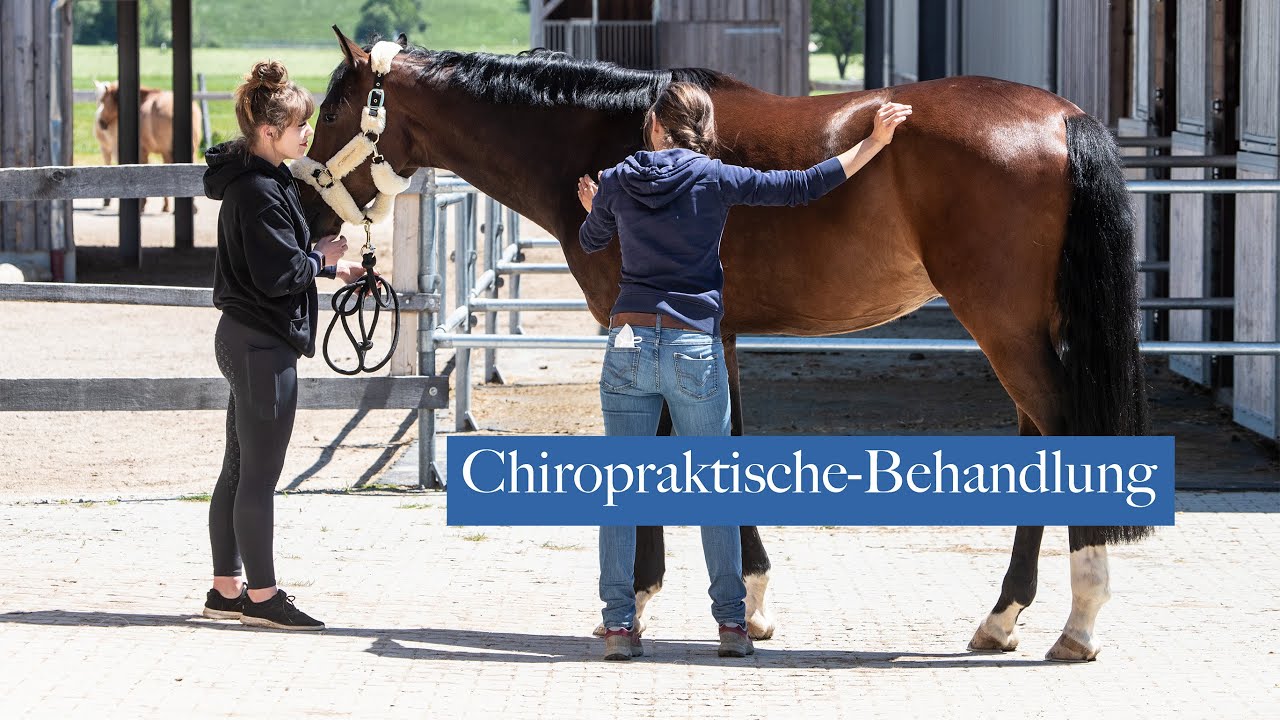 Milan | Chiropraktische Behandlung