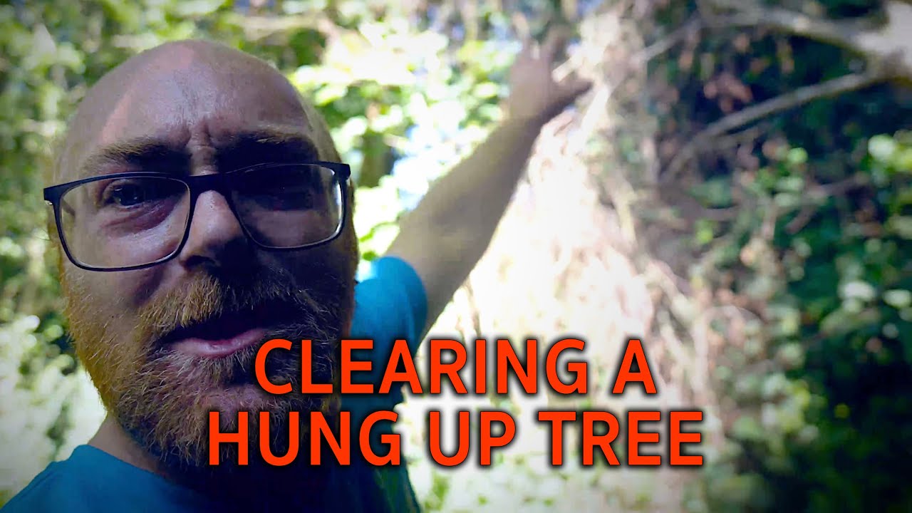 Clearing a Hung Up Tree - YouTube