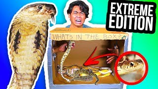 WHAT'S IN THE BOX CHALLENGE! - Lizards, Toads, Snakes, Maggots
