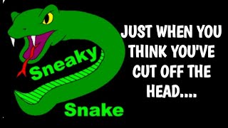 SNEAKY SNAKES TAKING OVER THESE  STREETS
