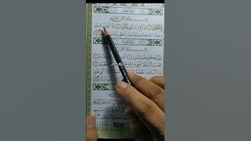 تلاوة تعليمية القرآن الكريم من سورة (العصر) قرآن بصوت جديد يريح القلب 🫀🕌💐🌹