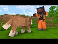 Wolf Life 13: Save Villager From Zombie - Minecraft Animation