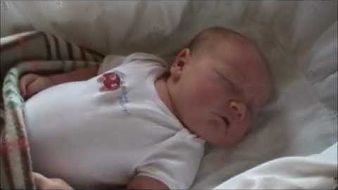 تلاوة مميزة من سورة يس- معاذ زغبي