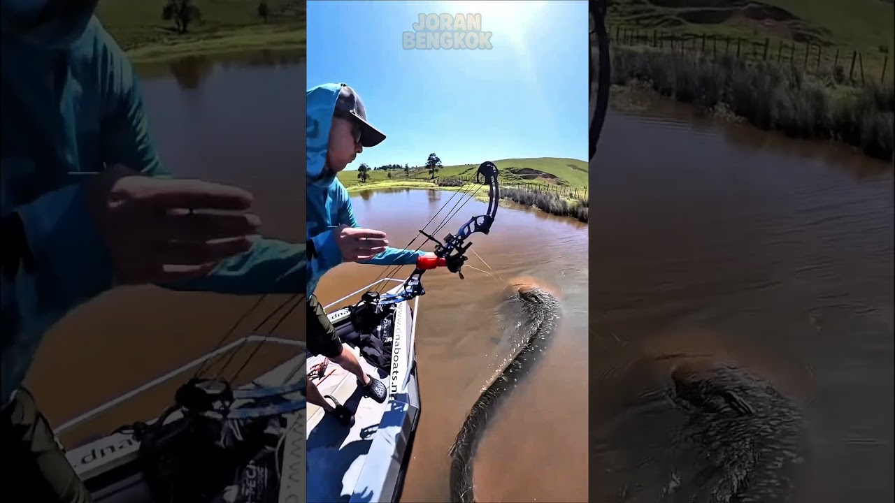 Bowfishing a GIANT Fish in the Lake… Insane Shot! 