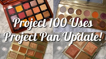 PROJECT 100 USES PROJECT PAN UPDATE!