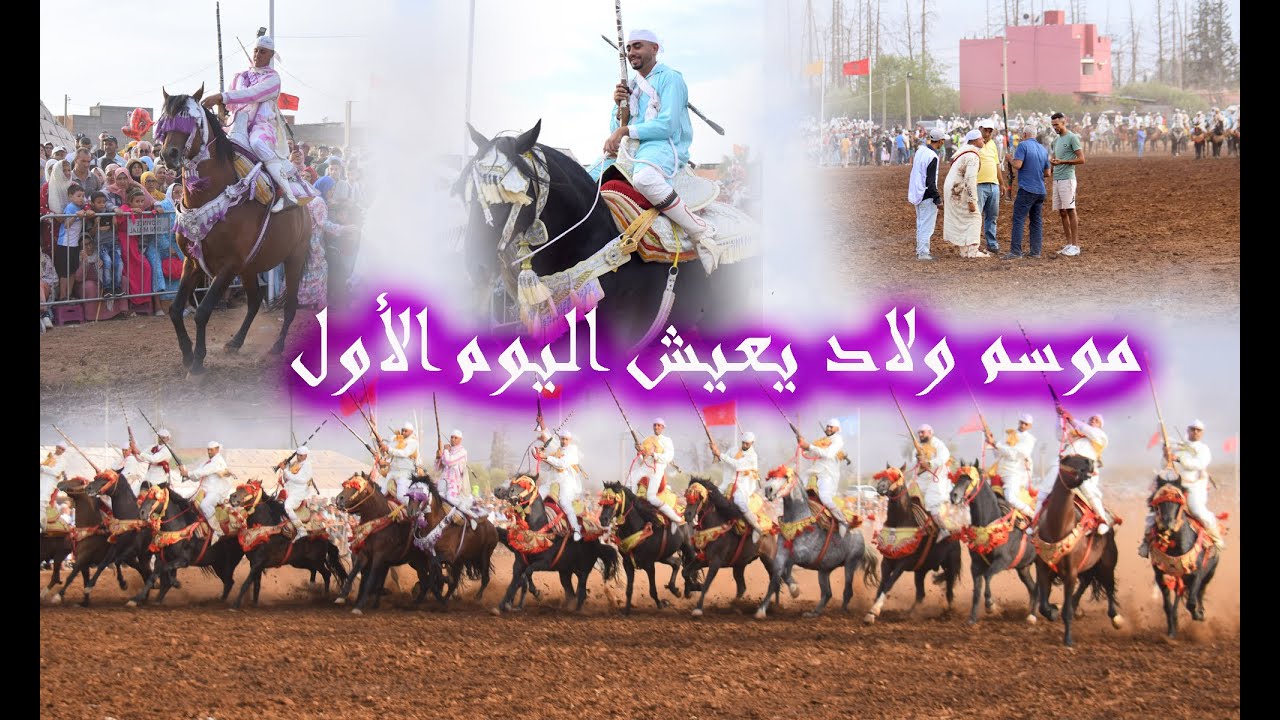 موسم التبوريدة ولاد يعيش بني ملال اليوم الأول 31/08/2023