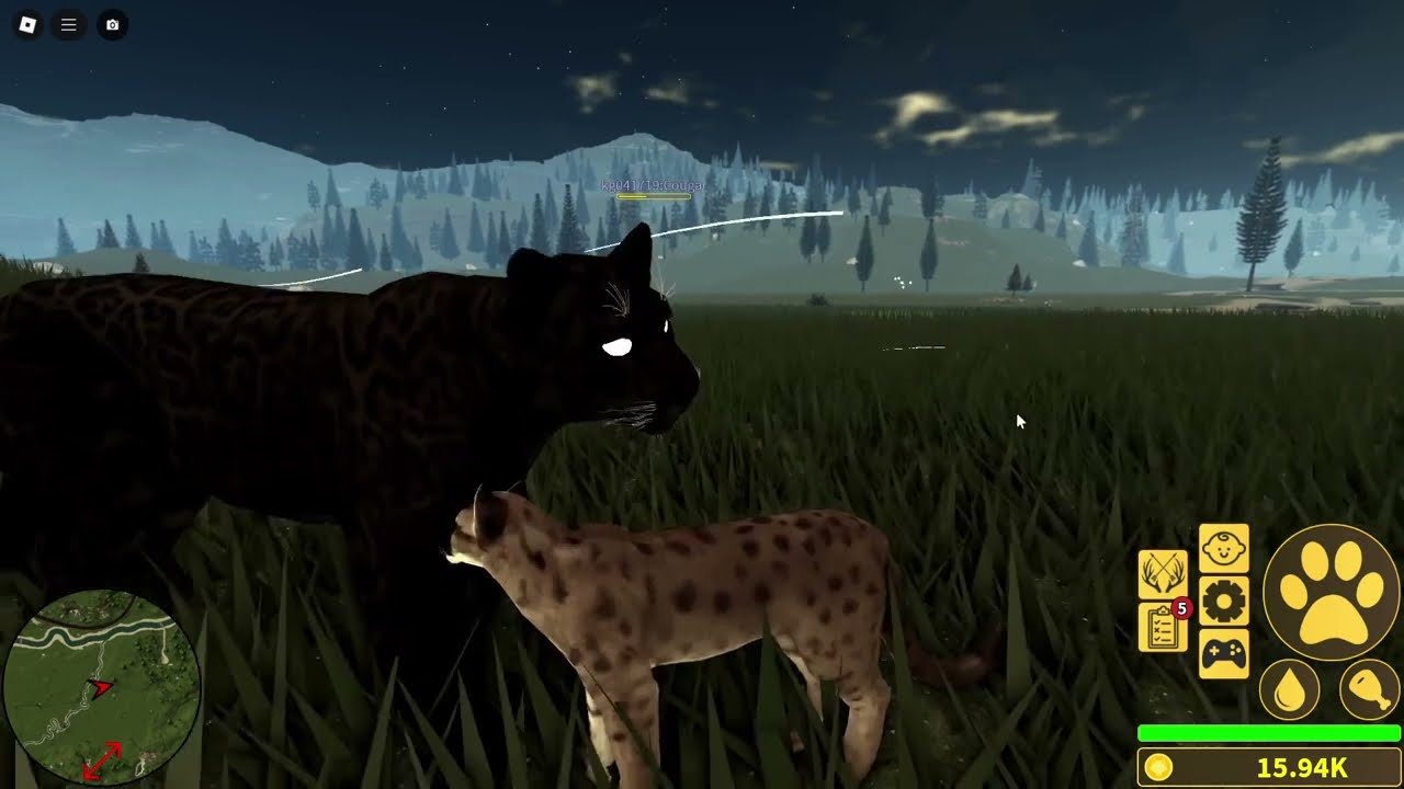 ROBLOX - Virei uma ursa e fui caçada por um casal de pumas no YELLOWSTONE UNLEASHED!!!