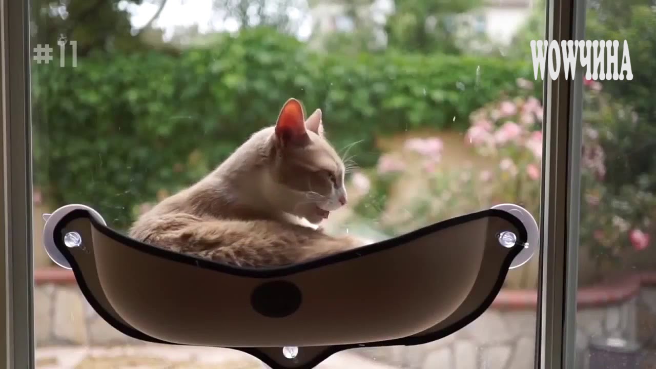 PetJoy Гамак на окно для кота, белый / бежевый