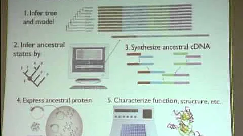 Joe Thornton: "The Evolution of Complexity: Inside...