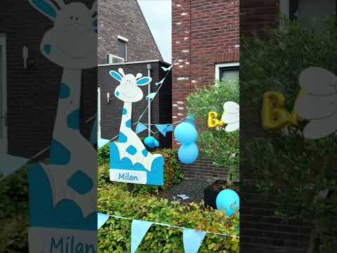 Нидерланды🇳🇱У Вас мальчик или девочка?Какие традиции в Нидерландах🎁Рождение ребенка, подарки, семья