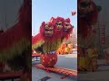 Lion dance is not just a hobby for us 🤜🤛#liondance #foryou #fyp