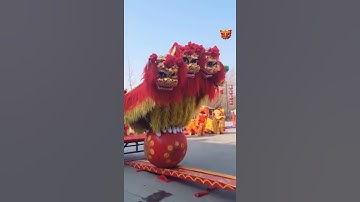 Thumbnail of Lion dance is not just a hobby for us 🤜🤛#liondance #foryou #fyp