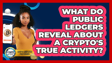 What Do Public Ledgers Reveal About A Crypto